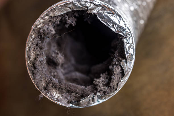 Best HVAC Air Duct Cleaning  in Pine Lakes, FL