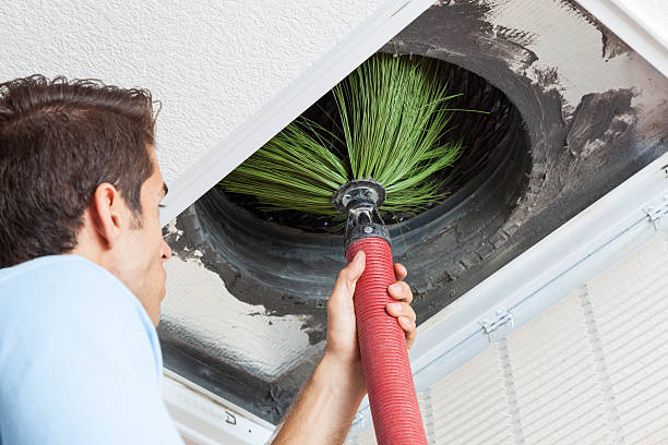 Best Air Vent Cleaning Services  in Pine Lakes, FL